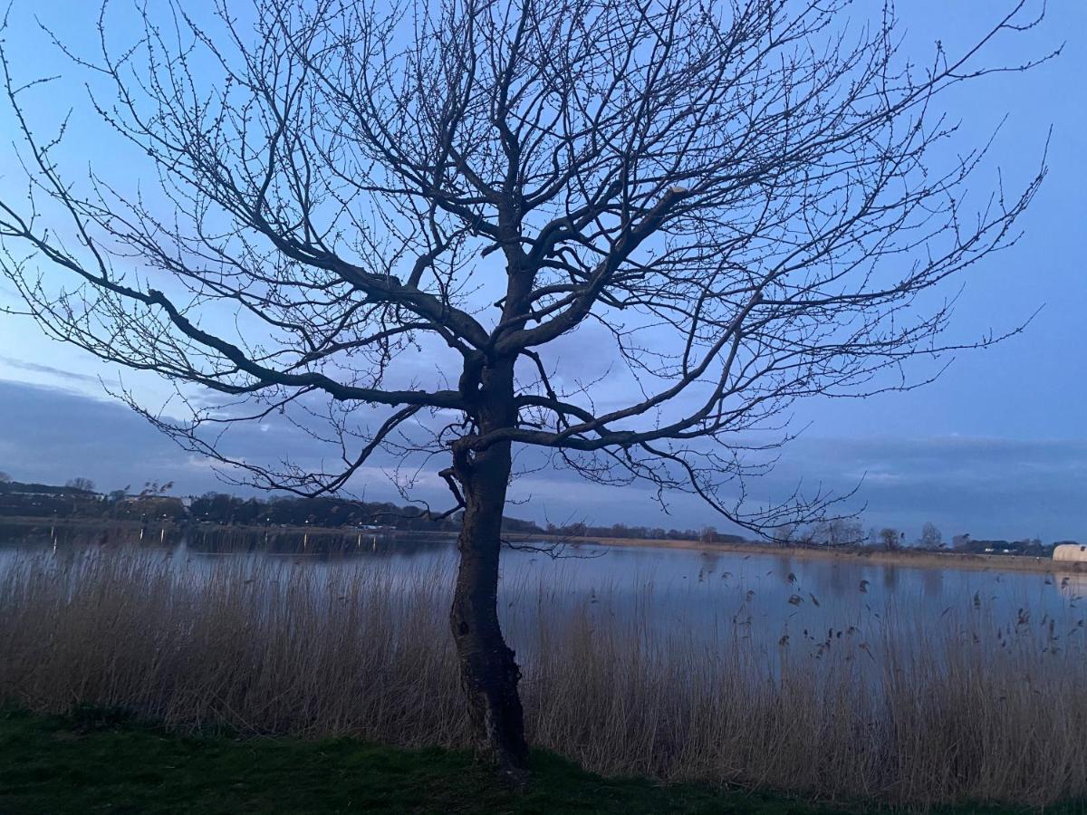 Usedomtor 1720 Fewo I Wolgast Exteriör bild